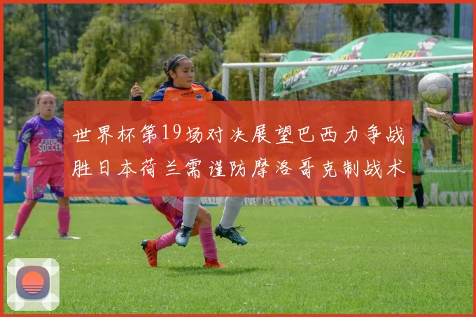 世界杯第19场对决展望巴西力争战胜日本荷兰需谨防摩洛哥克制战术